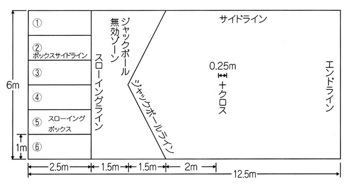 ボッチャコート