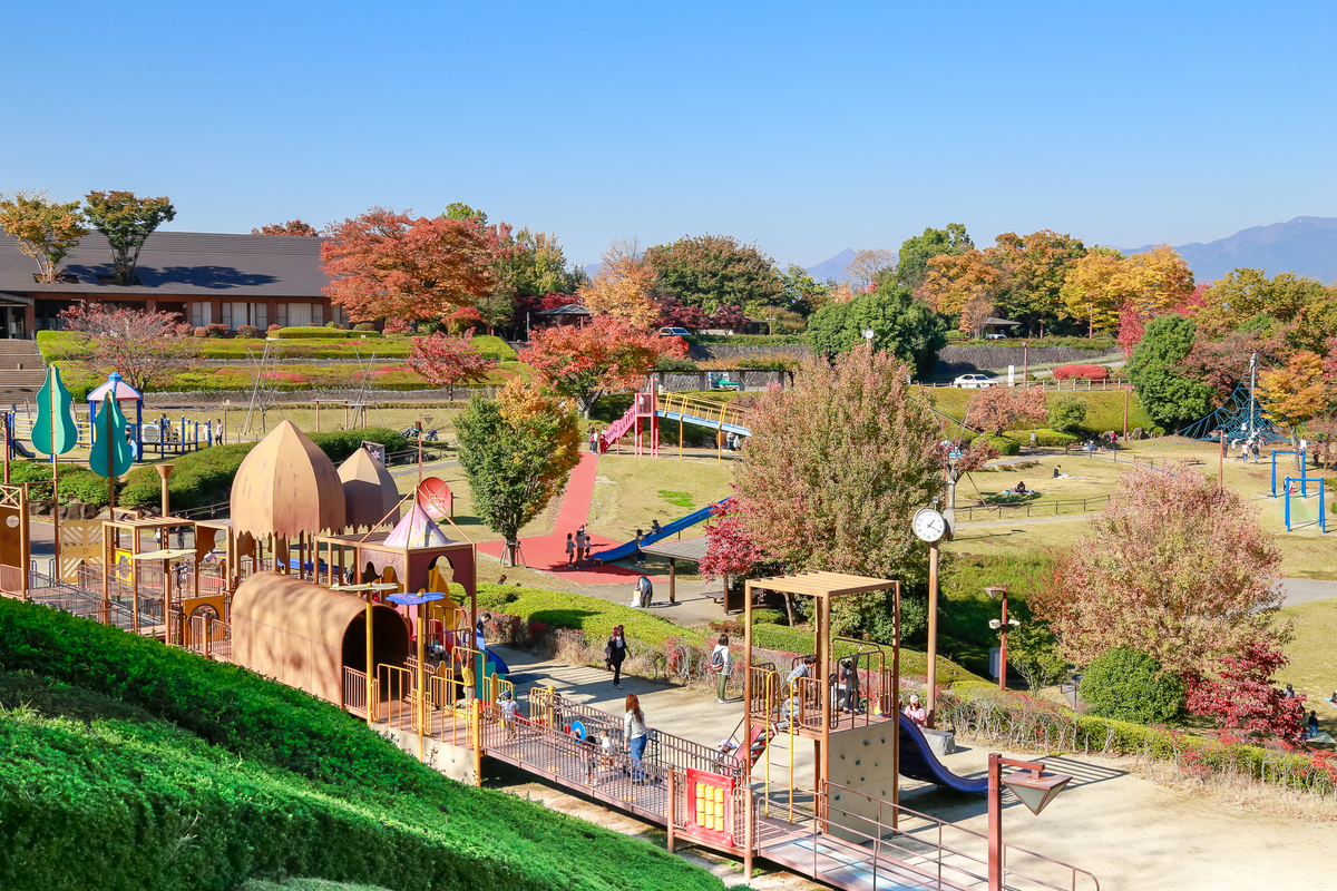 曽根丘陵公園の全景