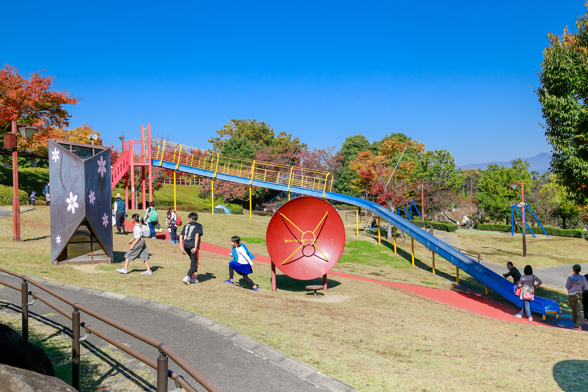 曽根丘陵公園の遊具