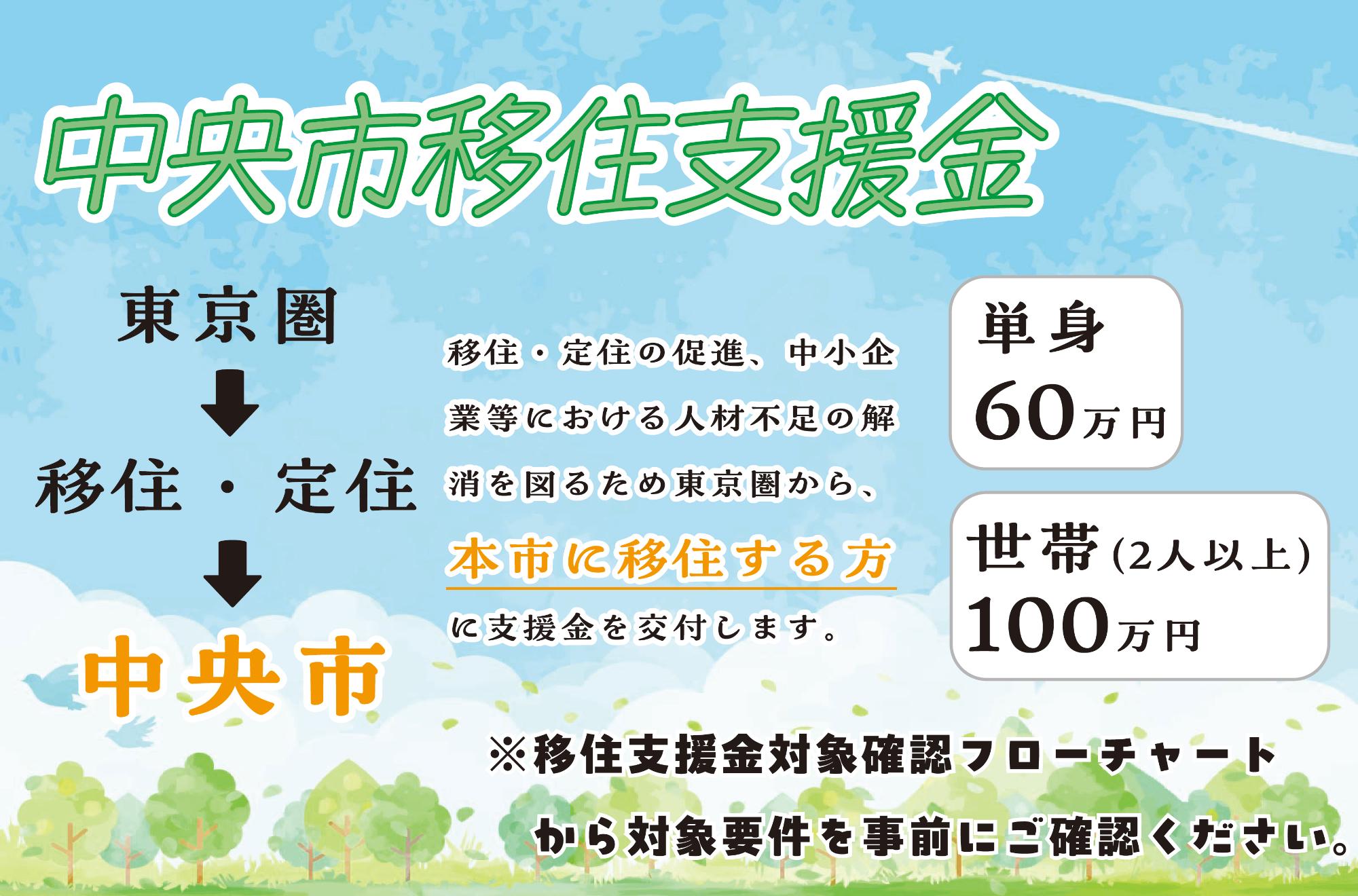 中央市移住支援金