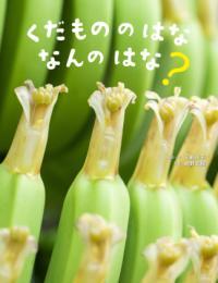 くだもののはななんのはな表紙