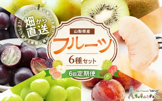 フルーツ6回定期便