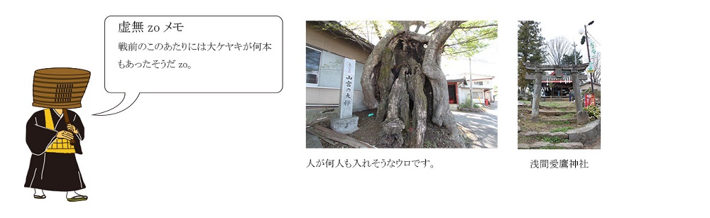 山宮の大ケヤキの写真