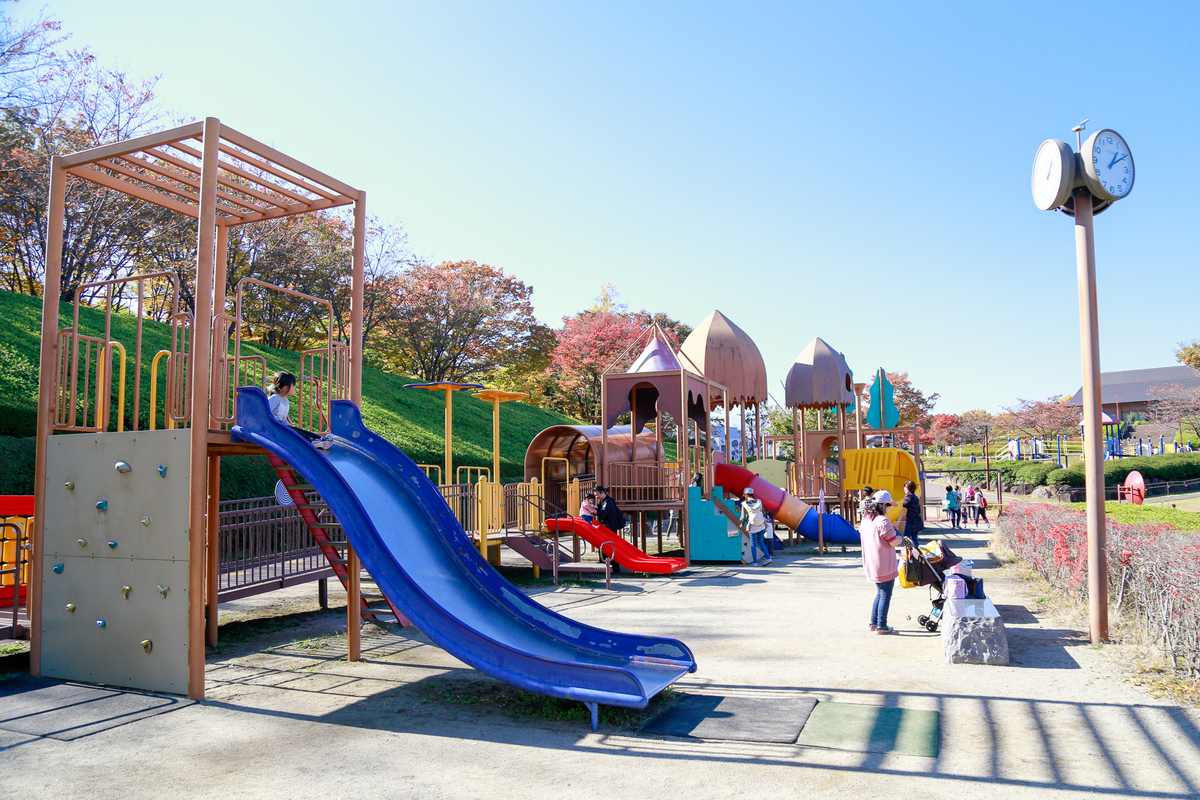 曽根丘陵公園の遊具