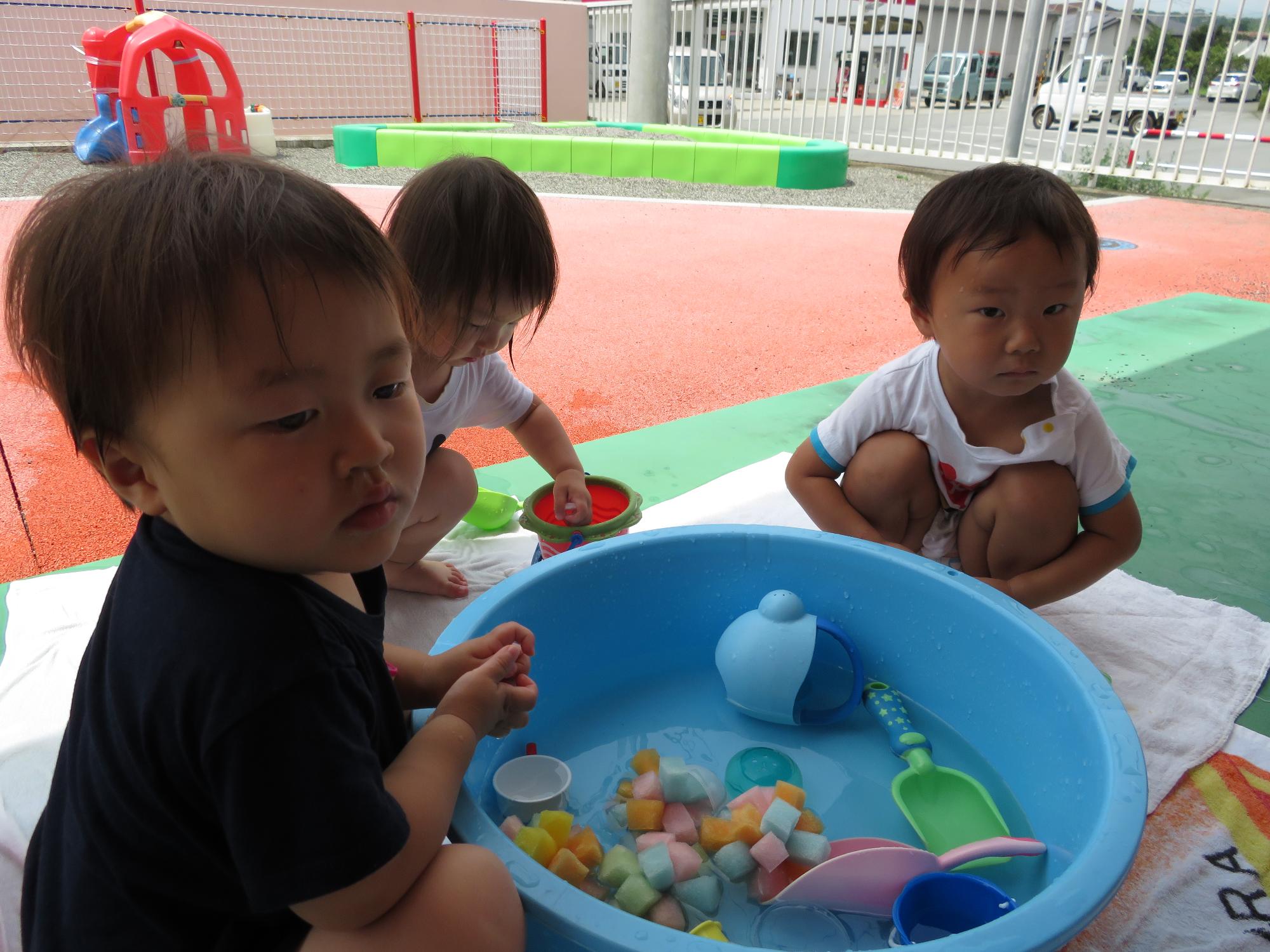 桶に水をためて囲んで座り水遊びをする1歳児の子どもたち