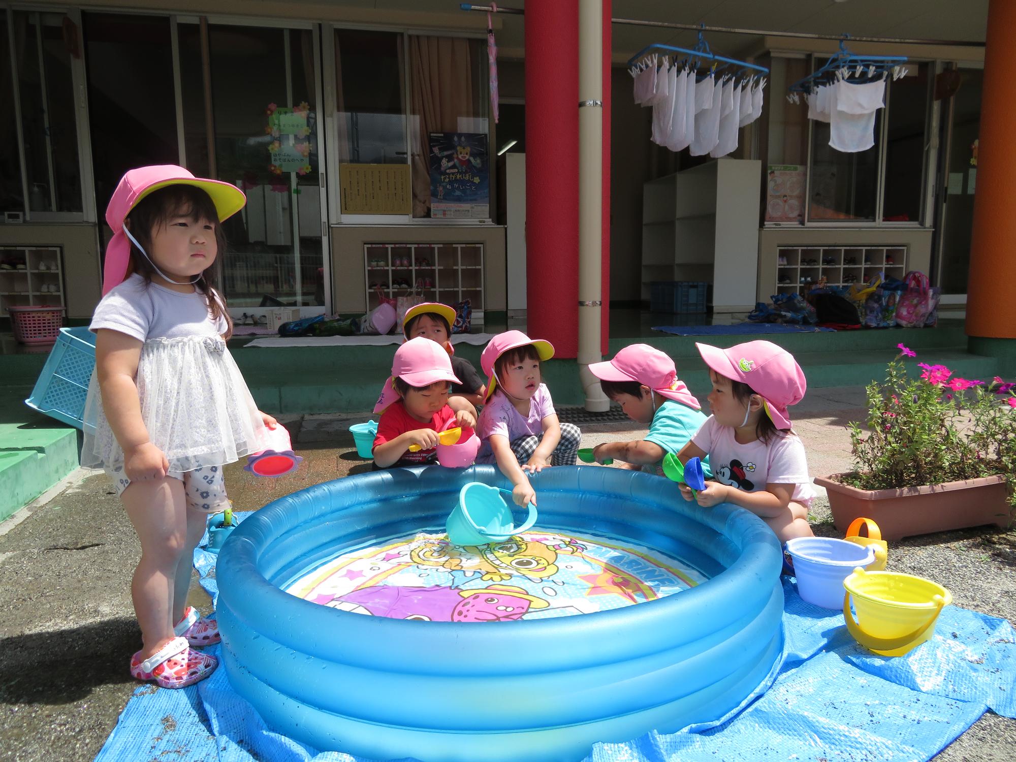 ビニールプールを囲むように座りバケツに水を汲み遊ぶ2歳児の子どもたち