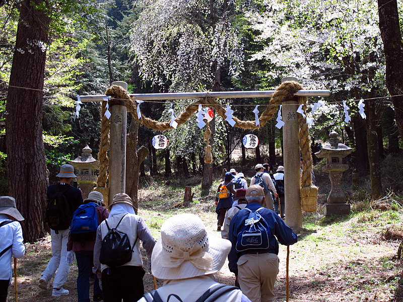 山之神社の鳥居をくぐり、参道を登り始める人たちの写真。鳥居には大きな注連縄が巻かれ、3つの提灯が掛けられています。