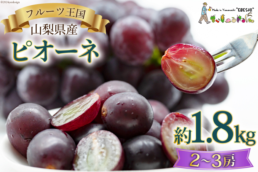 フルーツ返礼品2