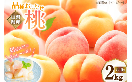 フルーツ返礼品