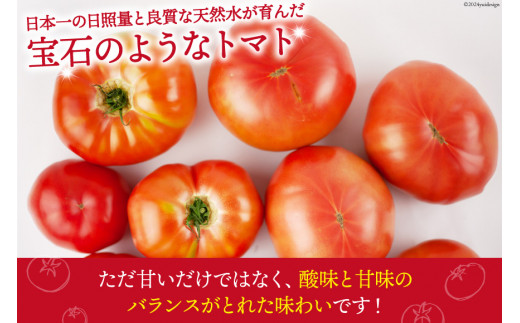 野菜返礼品