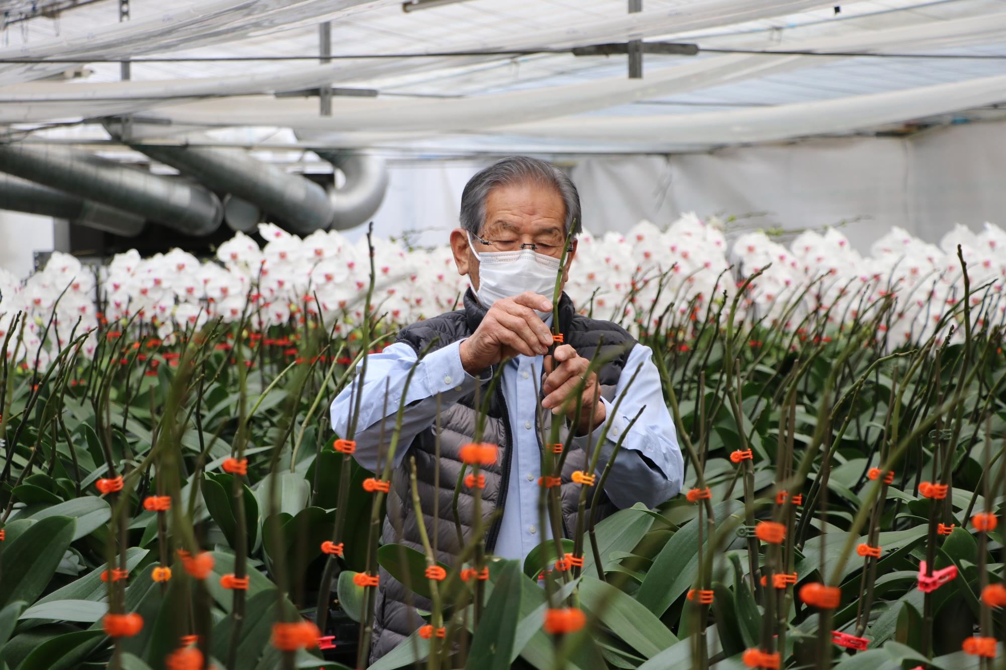 内田さん写真1