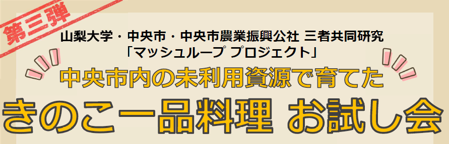 マッシュループプロジェクト第3弾